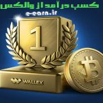 کسب درآمد از والکس (Wallex)