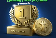 کسب درآمد از والکس (Wallex)