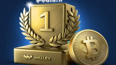 کسب درآمد از والکس (Wallex)