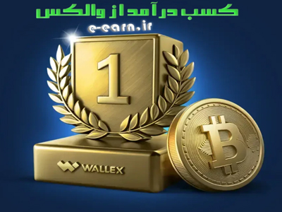 کسب درآمد از والکس (Wallex)